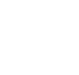 Suitcase Icon